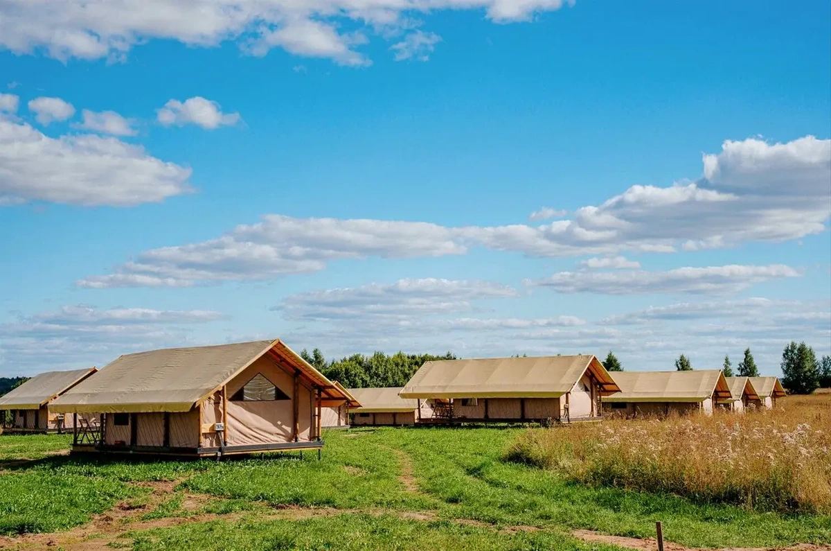 Носороги, глэмпинг