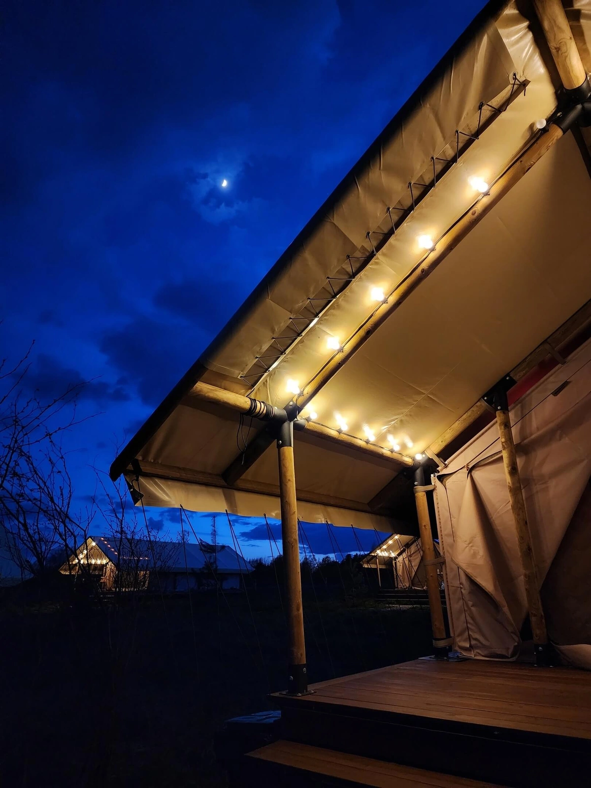 Носороги, глэмпинг