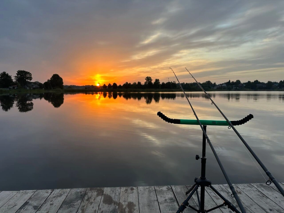 Носороги, глэмпинг