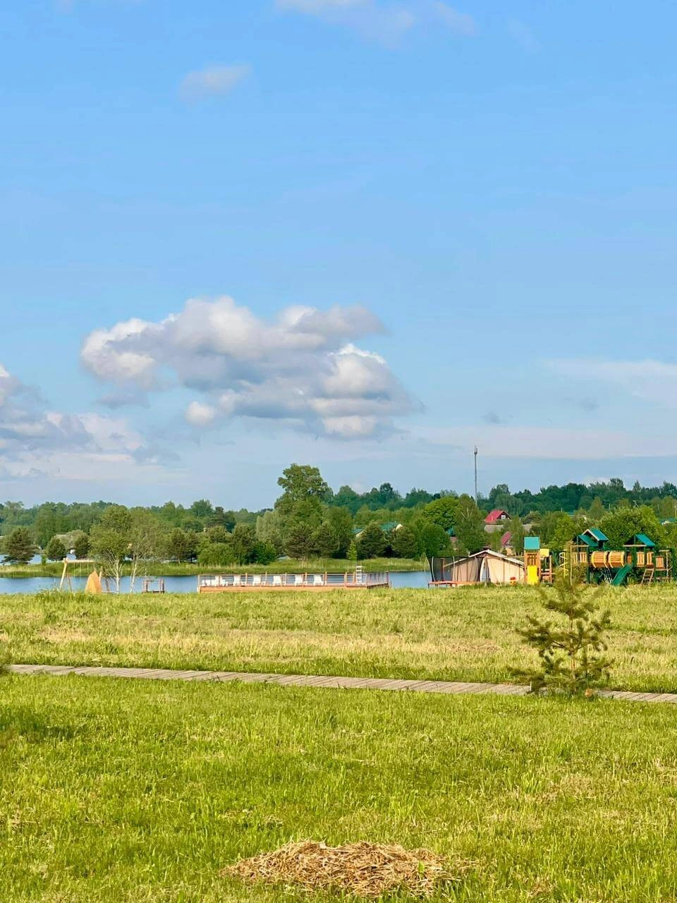 Носороги, глэмпинг