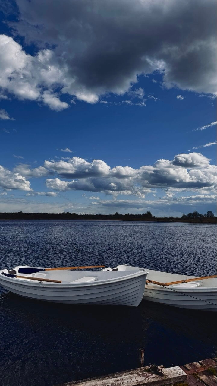 Носороги, глэмпинг