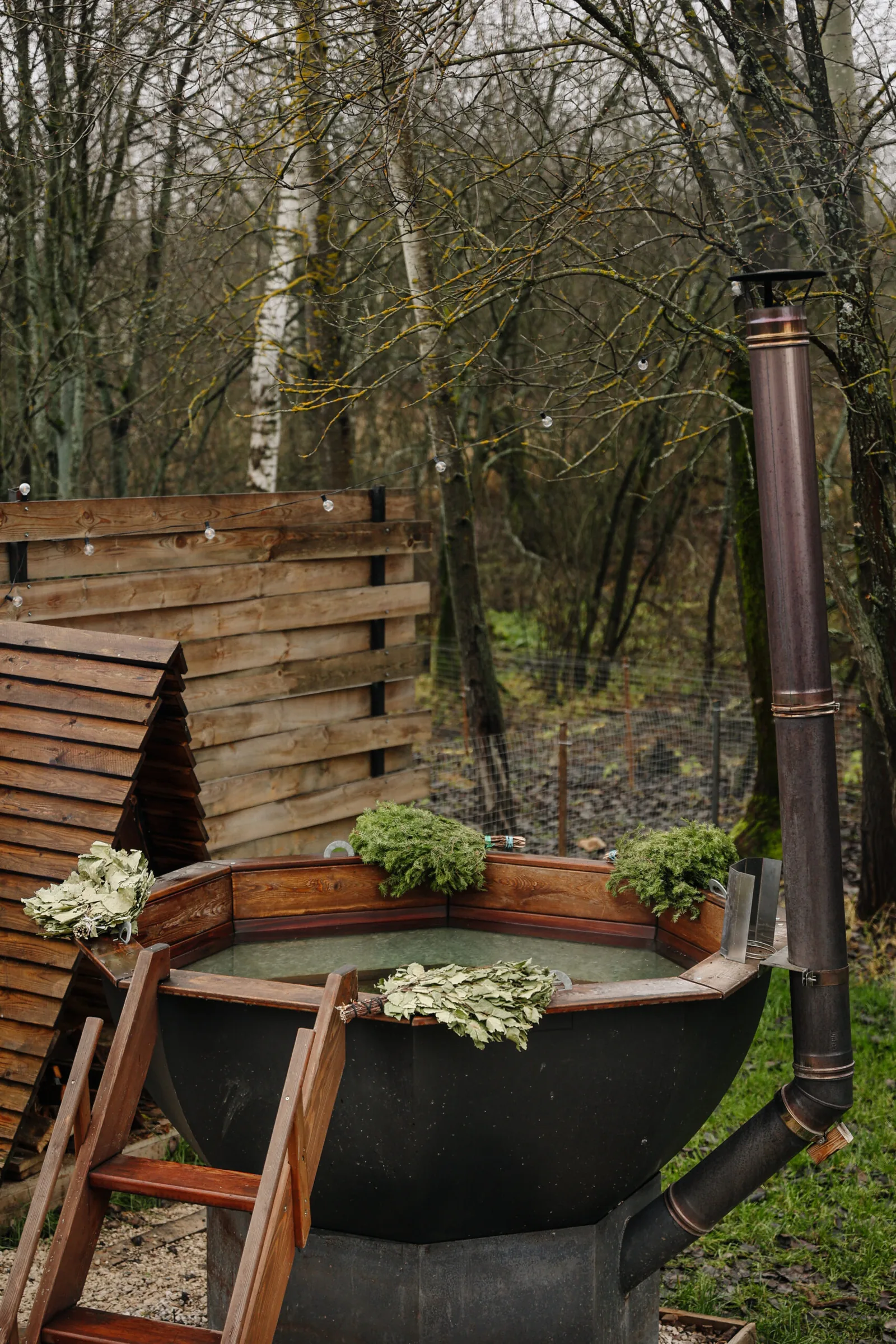 Лесная гавань