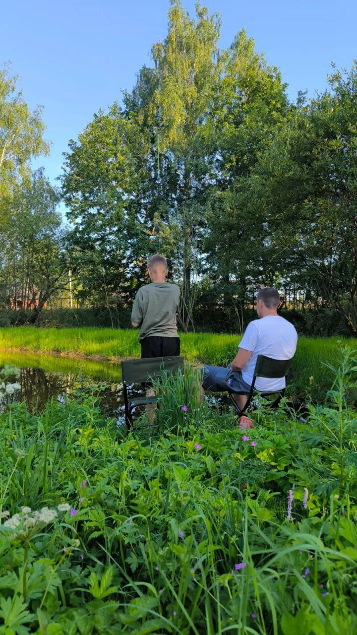 Лесная гавань