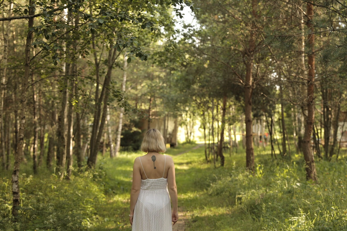 Звездный лес, глэмпинг