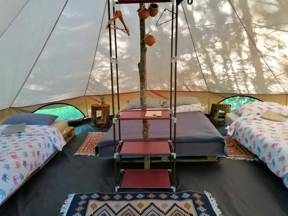 Звездный лес, глэмпинг