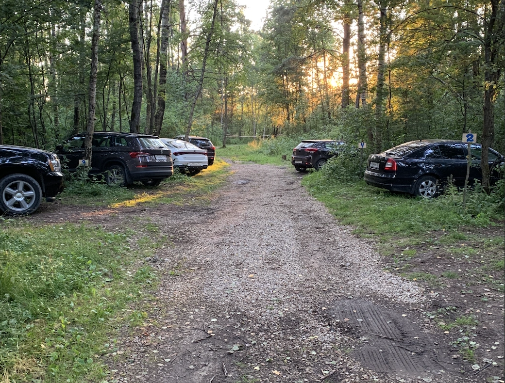 Звездный лес, глэмпинг