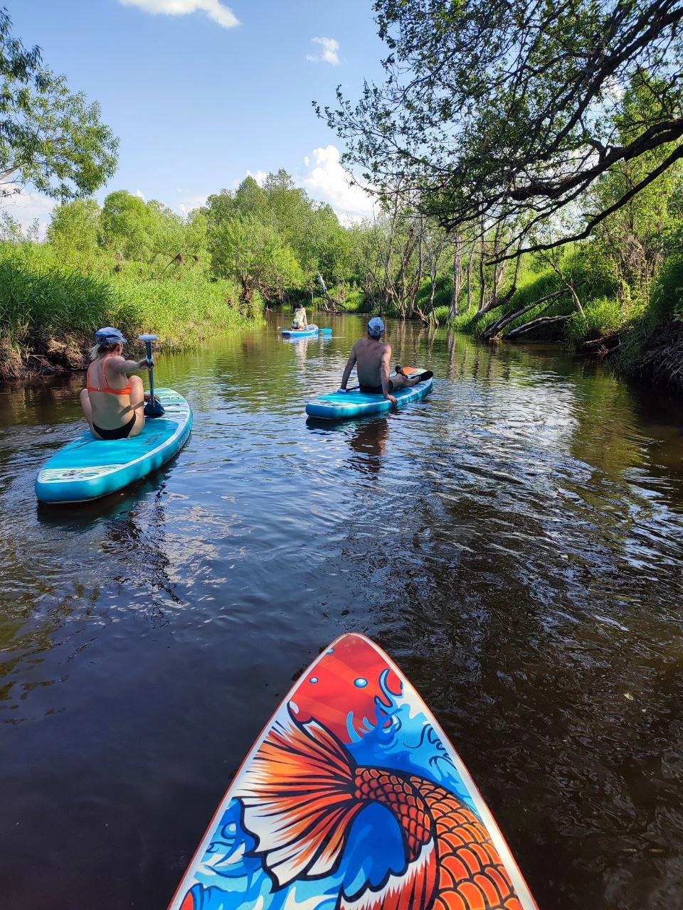 Звездный лес, глэмпинг