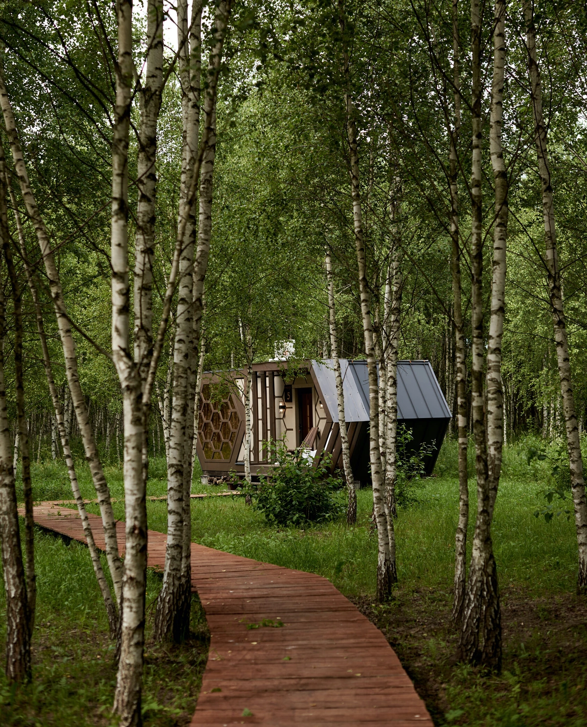 Honey Day, глэмпинг