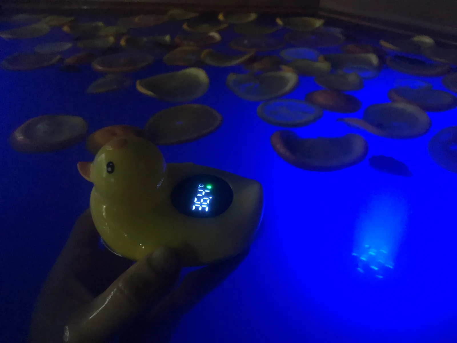 Oak Glamping, гостевой дом