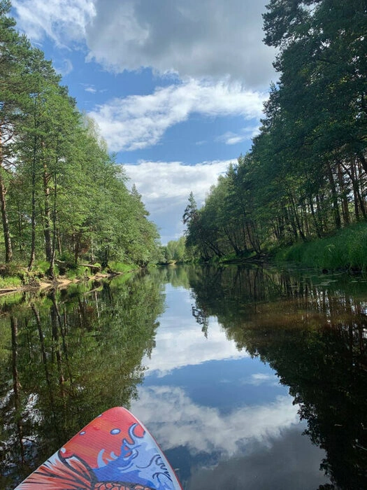 Клюква, лесной глэмпинг
