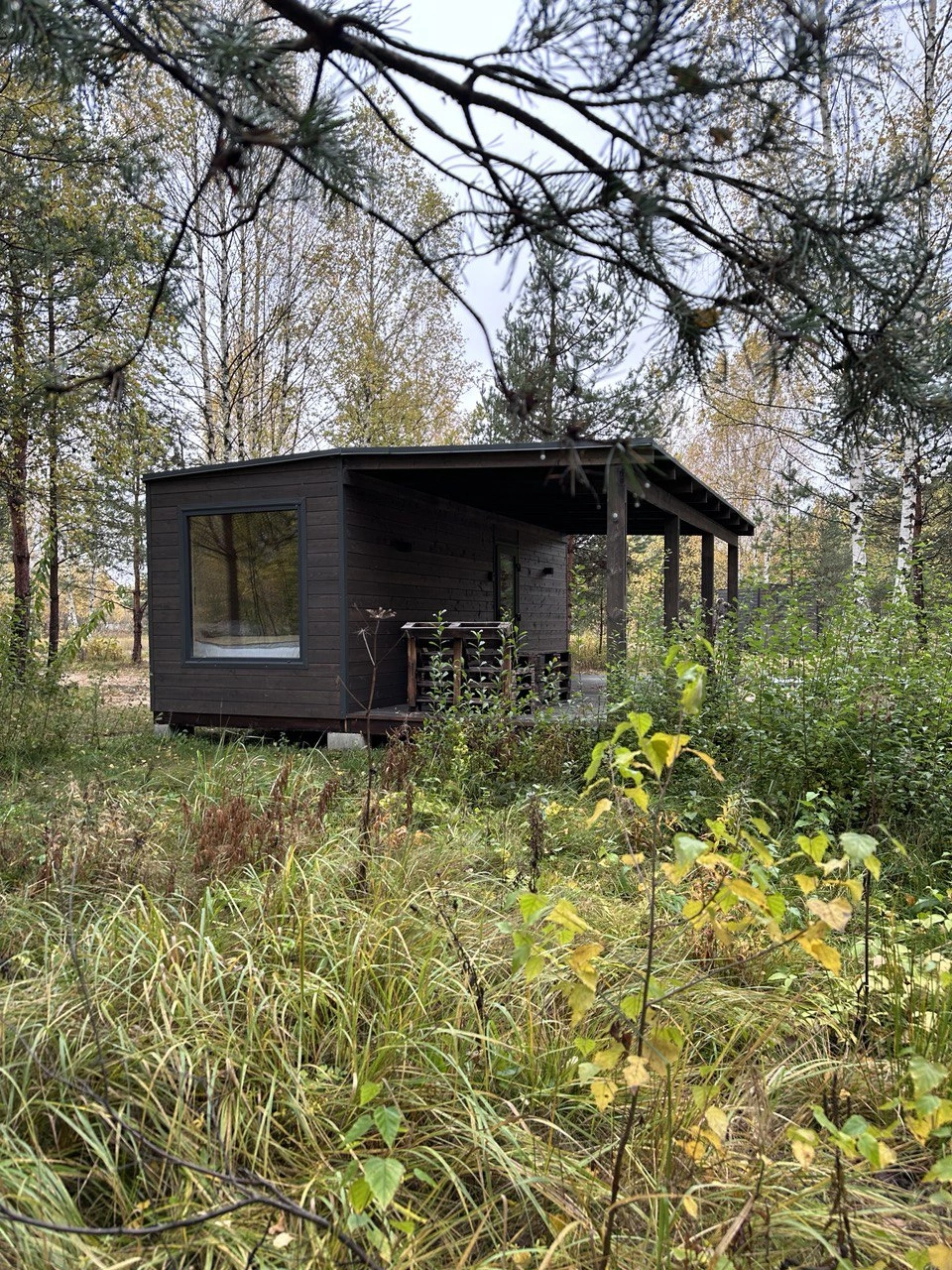 Клюква, лесной глэмпинг