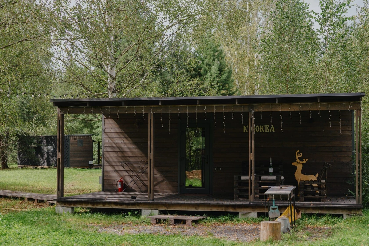 Клюква, лесной глэмпинг