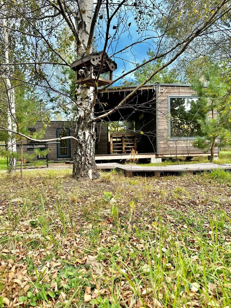 Клюква, лесной глэмпинг